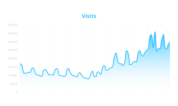 Visits Visits